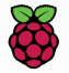 Raspberry Pi Icon